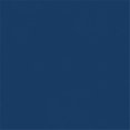 thumbnail image 1 of 3 Tissus d'Ameublement en Vinyle, Royal, 1 of 1