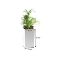 thumbnail image 3 of Decorlives Large Square Pillar Shape White Color Fiberglass Planters Pots Light Weight For Indoor-Outdoor, 3 of 6