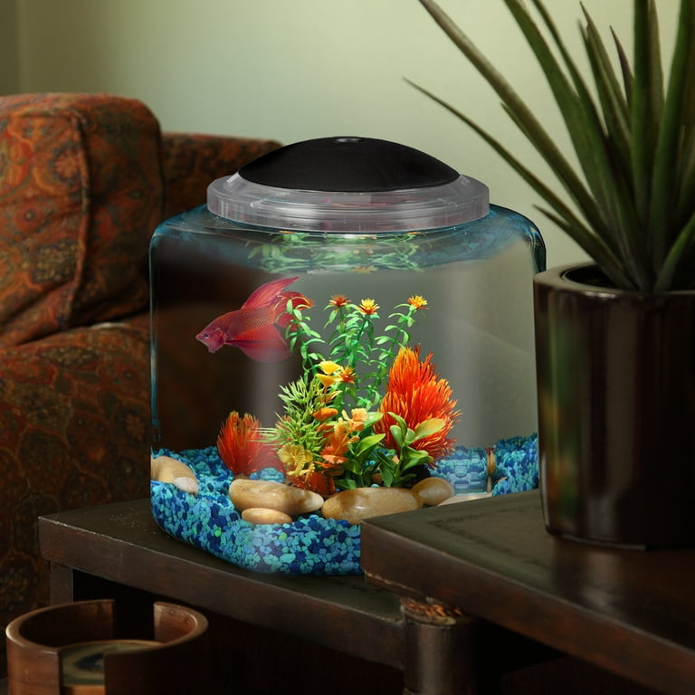 1 gallon betta tank 2025