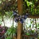 thumbnail image 1 of Colgante de pared BLESIY Estatua para colgar en la pared Decoración de pared Escultura de jardín Mariposa, 1 of 8