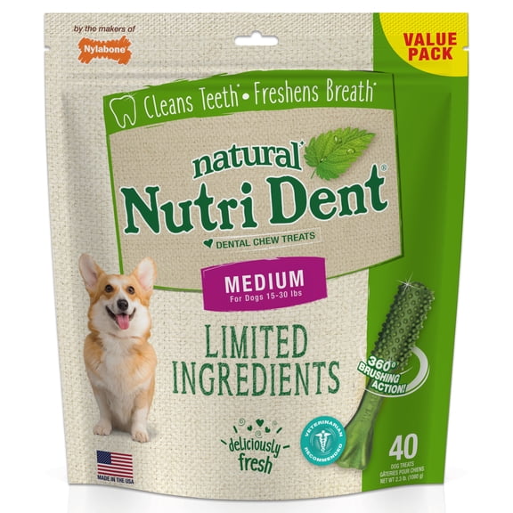 Nylabone Nutri Dent Fresh Breath Flavored Dental Dog Chew Treats Medium (40 Count)