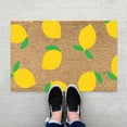 thumbnail image 3 of BINGLI Hello Summer Front Door Mat 31x24 Inch Summer Welcome Doormat Indoor Outdoor Entrance Floor Mats Non-Slip Washable Seasonal Summer Home Decor Rugs, 3 of 6