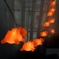 thumbnail image 5 of 1.65M 10LEDs Battery-Operated Indoor Camel String Lights, with Warm White LED Lights,Camel Fairy Lights, 5 of 10