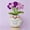 Forget-me-not potted plant, variant on Handmade Crochet Flower Pot Decor with Positive Message, Knitted Desk Decoration for Home Office, Cute Inspirational Gift