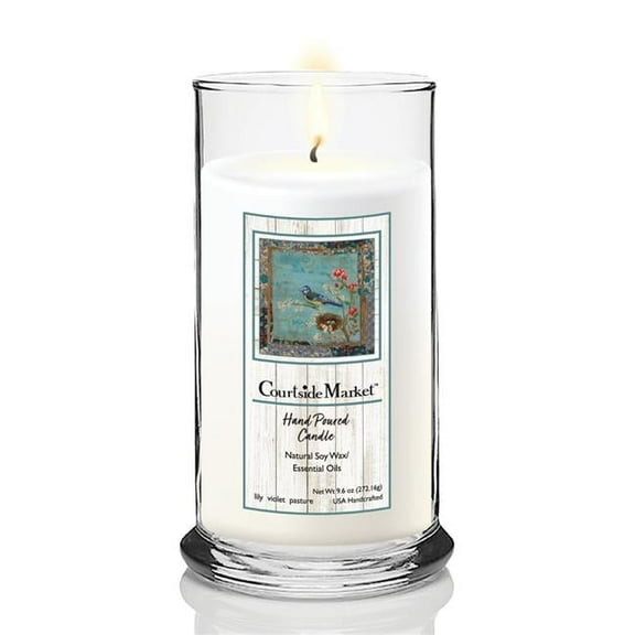 Courtside Market CAN-BR285-18S 18 oz Feather Chic II Status Candle Glass, Clear