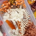 thumbnail image 2 of Dried Flowers Flower Bouquet Natural Dried Flowers Decorative Dried Flowers Bouquet Natural Dried Flowers Dried Embossed DIY Preserved Flowers Floral Decoration, 2 of 5