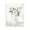 Elegant Patience Bouquet, variant on Stupell Industries French Country Patience Flower Vase Canvas Art, 16 x 20, by Kim Allen