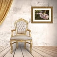 thumbnail image 3 of Robertson, Leda 14x11 Gold Ornate Wood Framed with Double Matting Museum Art Print Titled - Cherry Blossom Joy, 3 of 4