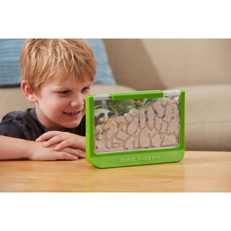 Ant Farm Basic Fun: Formicaio In Acrilico Per Bambini, Espandibile, Educativo