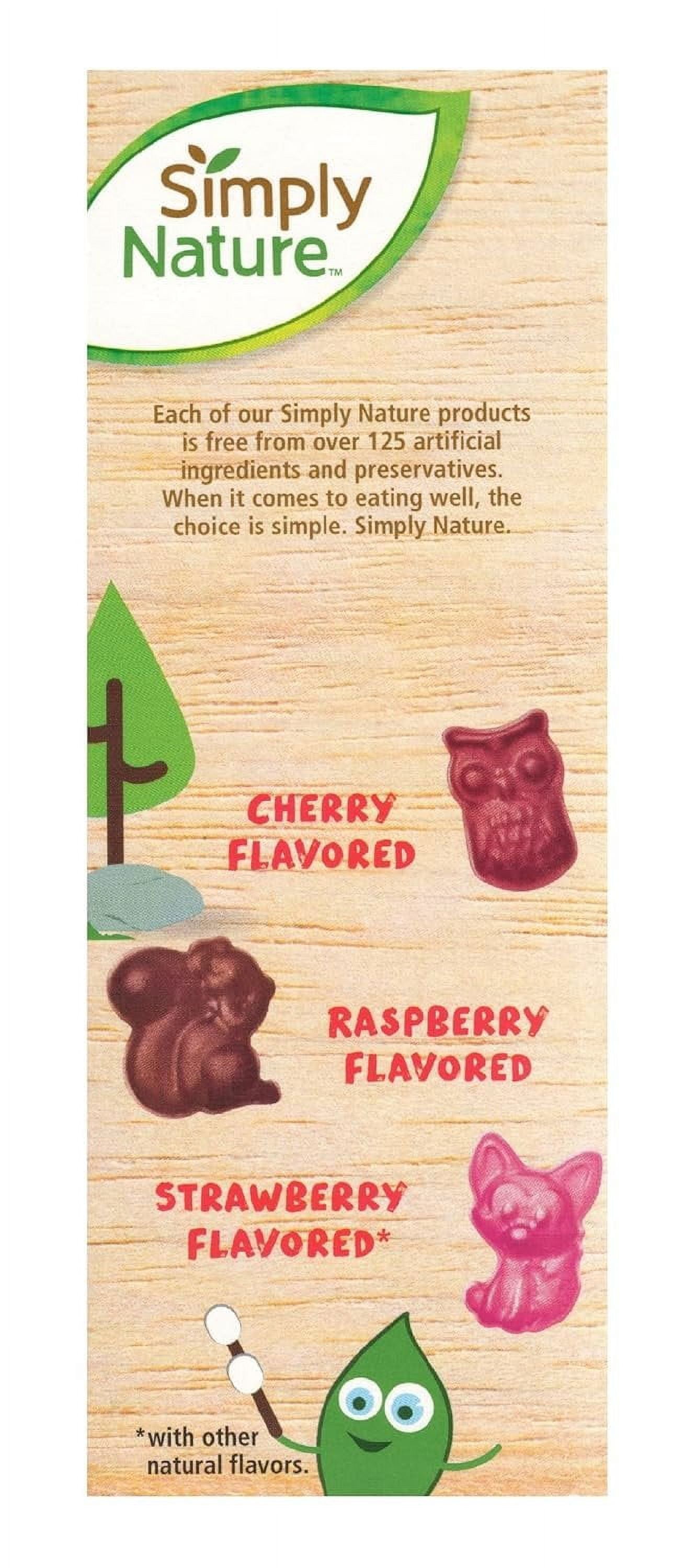 Simply Nature Organic Mixed Berry Fruit Snacks, 9.6 oz Pack of 3