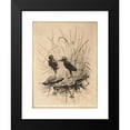 thumbnail image 2 of Frederick Stuart Church 14x18 Black Modern Framed Museum Art Print Titled - Two Birds, 2 of 5