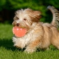 thumbnail image 3 of Durable TPR Squeaky Interactive Dog Toy Floating Chew for Aggressive Chewers and Water Play with Spiky Textured Design, 3 of 4