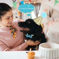 thumbnail image 2 of SM Pet Birthday Party Hat Set - Blue, 2-Piece, Cute Bowknot Design with Adjustable Rope, 2 of 4