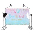 thumbnail image 4 of Boy or Girl Gender Reveal Photography Backdrop Baby Photo Background, 4 of 6