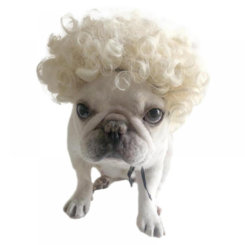 Does Polyester Attract Dog Hair