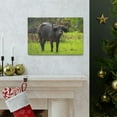 thumbnail image 6 of Majestic Water Buffalo Art Majestic Water Buffalo Print Animal Wall Art Wildlife Canvas Prints Wall Art Ready to Hang Unframed, 6 of 18