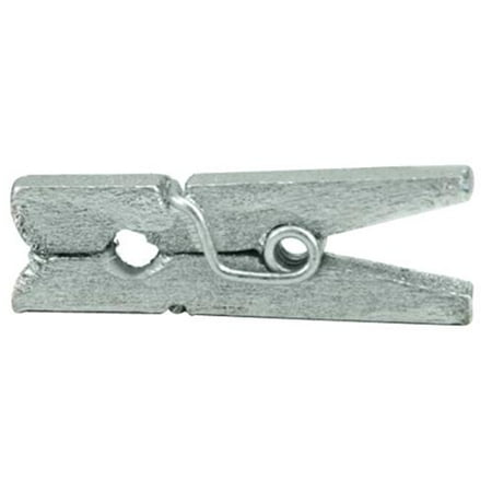 Mini Clothespins 1" 25/Pkg-Silver
