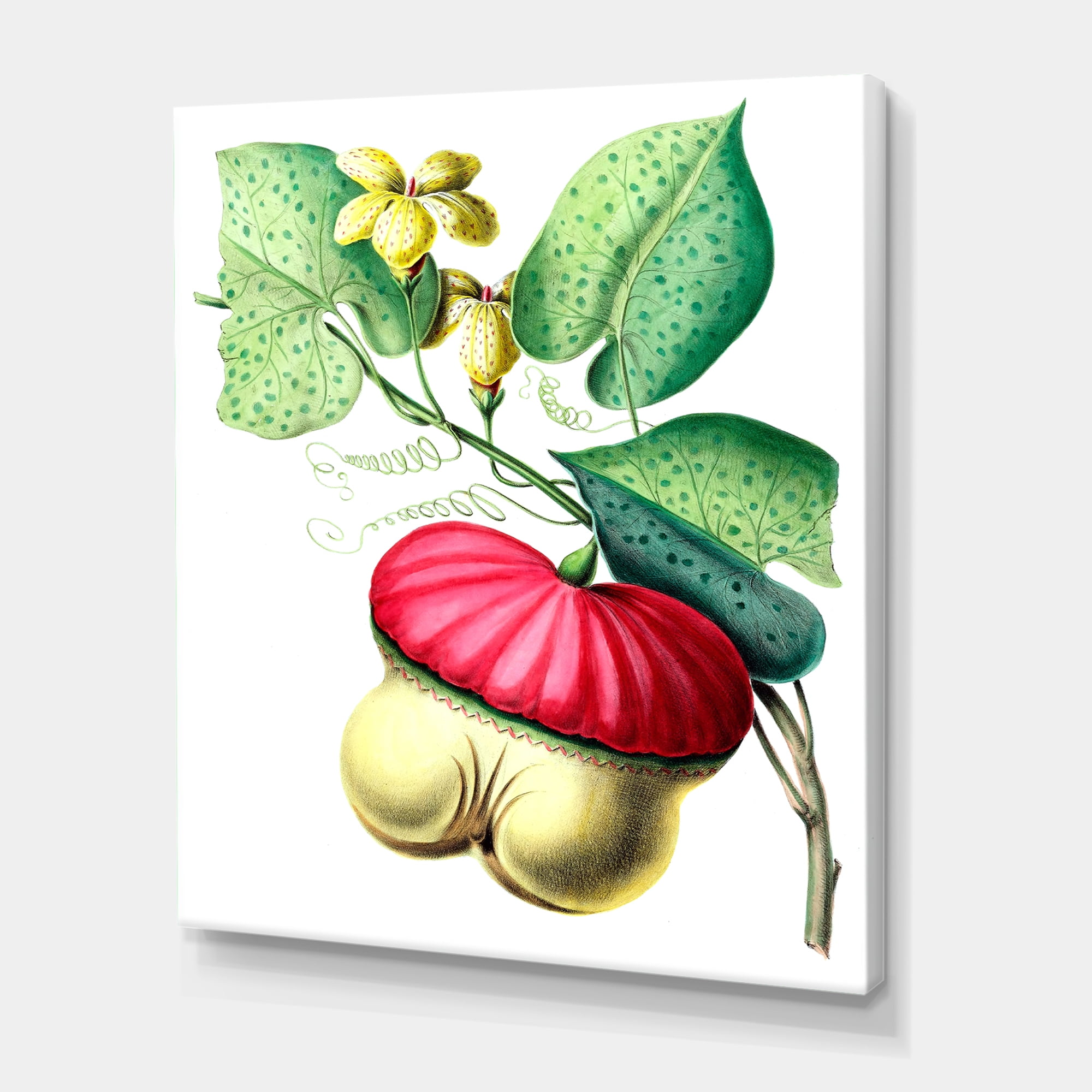 Designart ' American Vintage Flowers I ' Traditional Canvas Wall Art Print