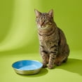thumbnail image 2 of Vibrant Life Stainless Steel Cat Food Saucer, 2 of 9