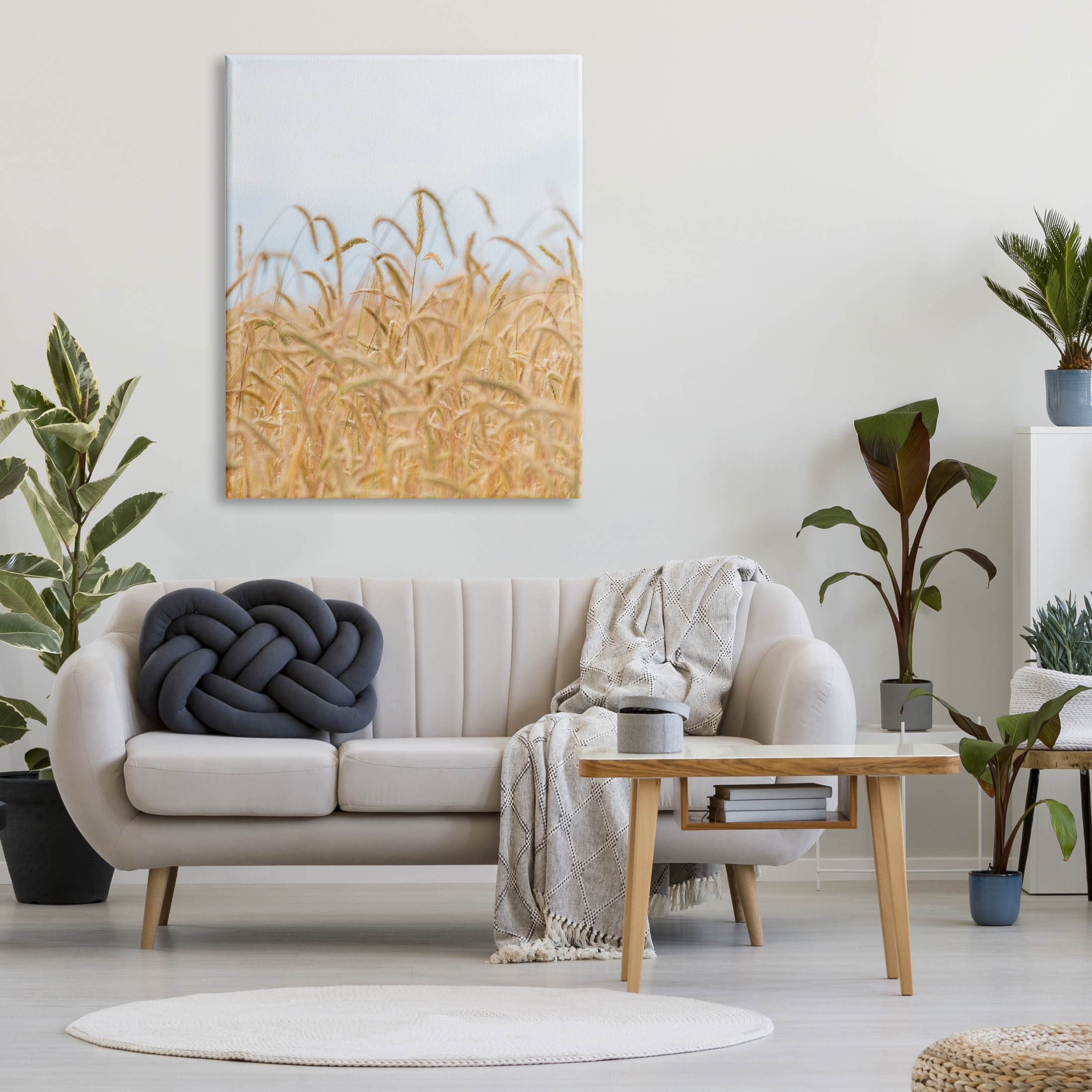 Rural Wheat Field Crops Landscape Photograph Gallery Wrapped Canvas Print Wall Art
