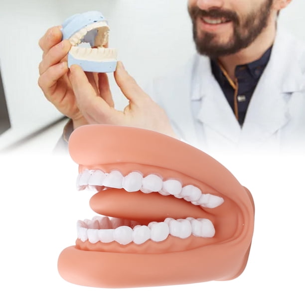 Marioneta De Boca Con Dientes Y Lengua Móvil - Herramienta Educativa Para Higiene Dental Y Terapia Del Habla