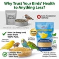 thumbnail image 3 of Birds LOVE Alpiste Canary Seed Bird Food, Canadian Grown, Packed in USA, Natural Single Ingredient Seed, Double Cleaned, Non GMO, Low Dust, Resealable 5 lb Bag, 3 of 13