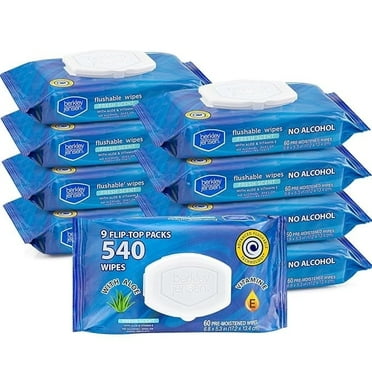 Berkeley Jensen Fresh Scent Flushable Wipes, 540 ct.