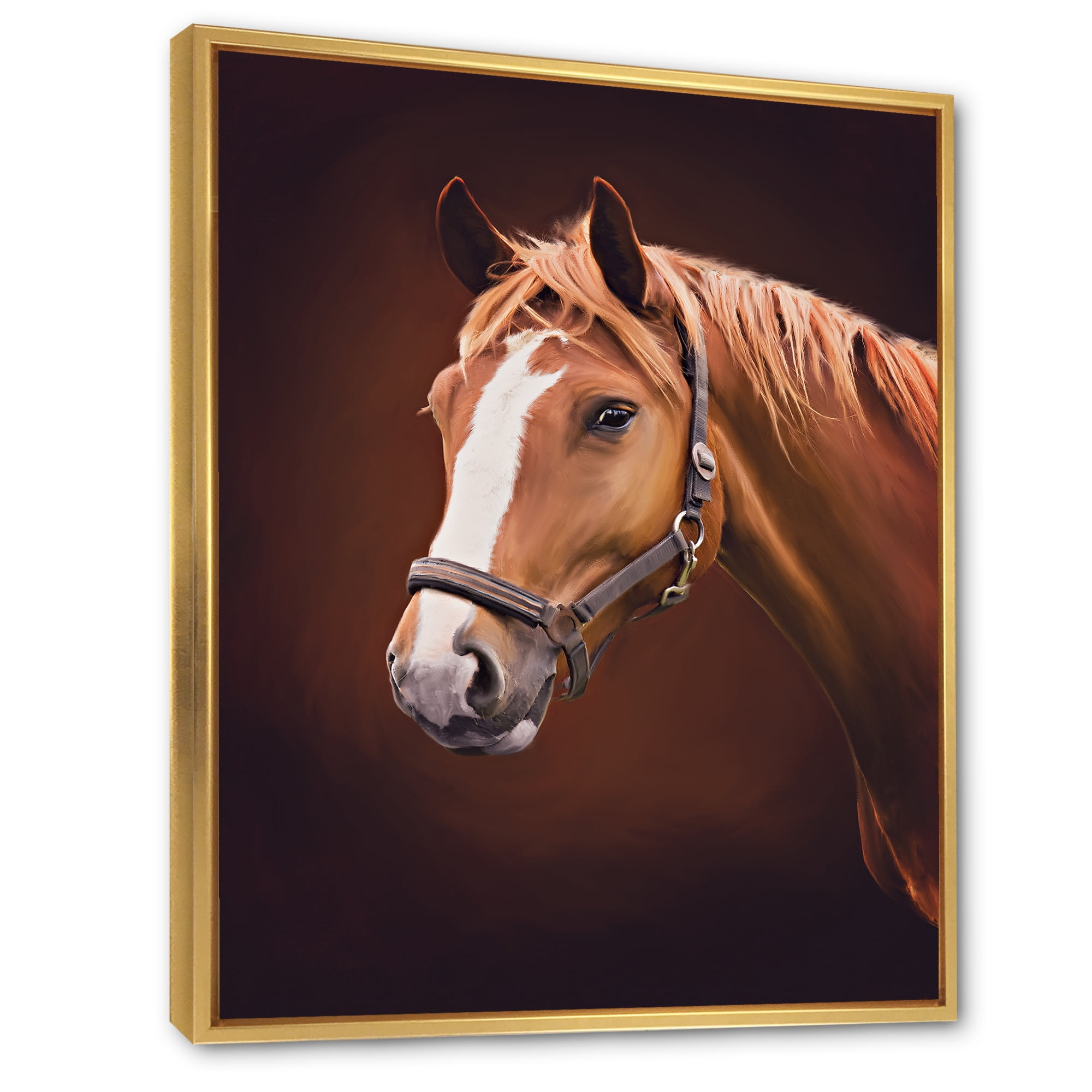 Designart 'Close Up Portrait Of Brown Horse With White Nose II' Farmhouse Framed Canvas Wall Art Print