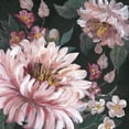 thumbnail image 2 of Tre Sorelle Studios 12x12 Black Ornate Wood Framed with Double Matting Museum Art Print Titled - Romantic Moody Florals on Black I, 2 of 4