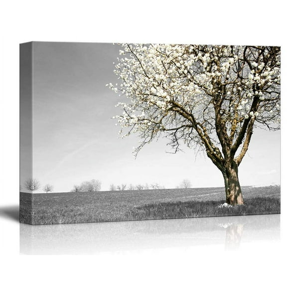 wall26 - Canvas Wall Art - Tree with White Flowers on Black and White Landscape - Giclee Print Gallery Wrap Modern Home Art Ready to Hang - 16x24 inches