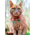 thumbnail image 1 of Taladro Diamante (DE5303) Mosaico DIY Lindo Gato Decoración Cuadrado Kit de Pintura (A1394) 40x50cm FLhrweasw Nuevo, 1 of 1