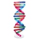 thumbnail image 1 of Modelos De ADN Modelos De Estructura De Doble Hélice ADN Doble Gen Humano Popularización De La Ciencia Ensamblaje De Equipos Experimentales Para La Enseñanza De Ensamblaje De ADN, 1 of 8