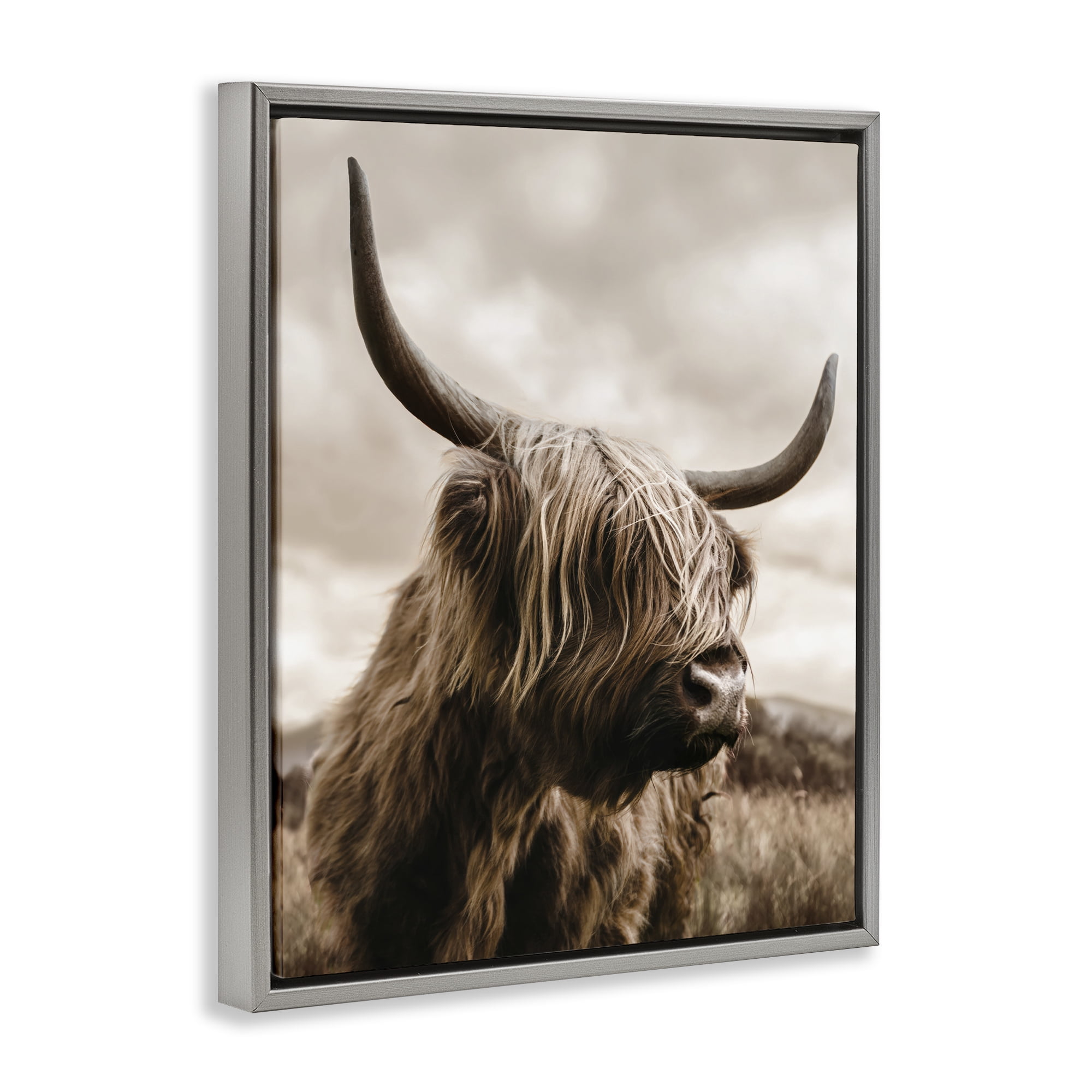 Stupell Industries Searching Cattle Gaze Gray Framed Floater Canvas Wall Art, design by CAD Designs