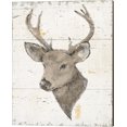 thumbnail image 1 of Wild and Beautiful II with Brown by Daphne Brissonnet, Canvas Wall Art, 16W x 20H, 1 of 1