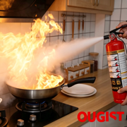 Ougist ABC Fire Extinguisher for Home & Vehicle, 2.5lb 1-A:10-B:C Rated, Certified for Kitchen/Car/Boat, Base Model