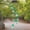 Green#B, variant on Grape Glow-in-the-dark Chimes Chimes Solar Outdoor with Changing Lights Outdoor Waterproof LED Solar Hanging Lights Garden Decor Mother's Day Gift Birthday Gift