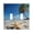 Starfish Beach Coconut Tree, variant on Dailycode Light Switch Plate Covers 2 Gang Wall Plate Plastics Outlet Covers for Kitchen Home Office Decor White Gold Marble