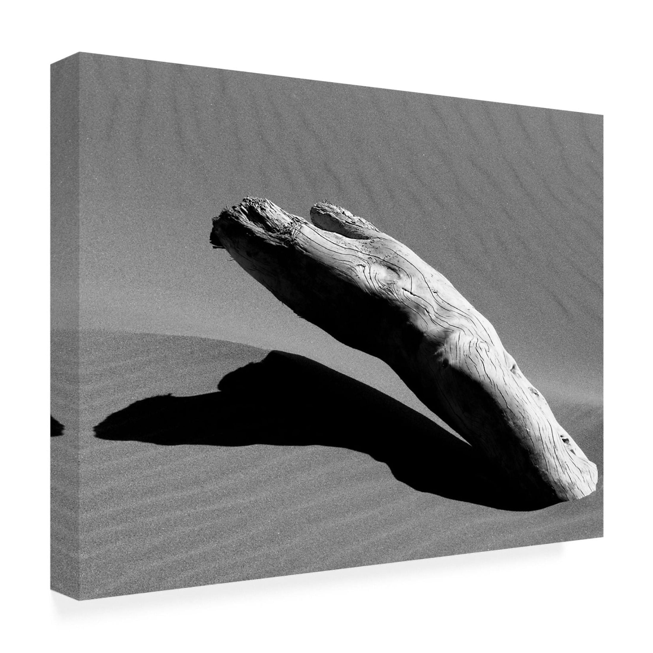 Canvas Wall Art - Miron Abramovici 'Ergo' Wall Art for Living Room, Bedroom, or Office Décor by Trademark Fine Art - 19 x 14 Inches