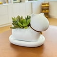 thumbnail image 2 of Cute Succulent Plant Pots, Animal-shaped Flower Pots Desktop Decorative Ornaments Suitable For Home, Office, Desks (Cat ), 2 of 5