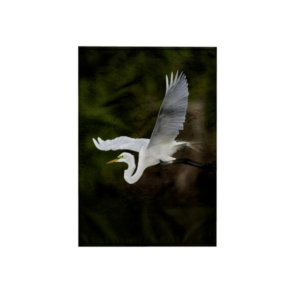 3dRose, Great Egret bird in flight, Sanibel Island, Florida - US10 AJE0244 - Adam Jones, 15x22 Hand Towel