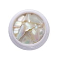 thumbnail image 1 of UDIYO 1 Box Nail Shells Irregular 3D Effect Flashing Crushed Stone Decorative Nail Art Decoration Phantom Color Natural Abalone Shell Pieces Nail Art Flakes for Salon, 1 of 7
