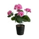 thumbnail image 2 of Flores artificiales, plantas artificiales, flores falsas, flores de manzano silvestre simuladas, plantas en macetas, adecuadas para la decoración del hogar y la oficina, maceta de plástico., 2 of 6