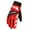 Rouge, variante sur GDREDA Gants de Sport d'Hiver pour Ski, Planche à Neige et Patinage avec Isolation Coupe-Vent Bleu, Taille Unique