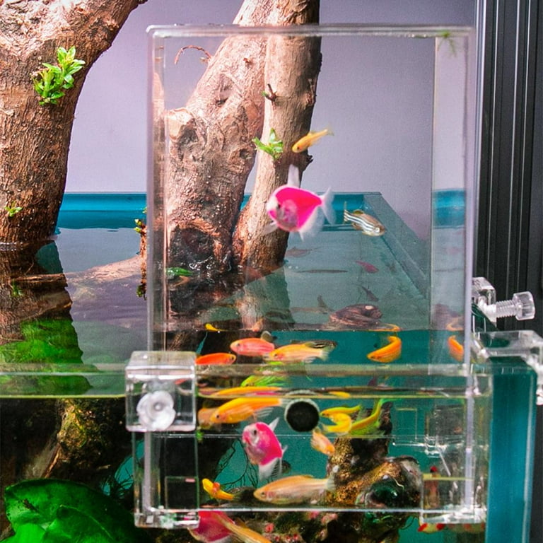 Pekkaxy Acrylic Fish Tank Tower, 4.8 x 5.2 x 7.5 inches, Creates a
