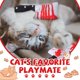 thumbnail image 3 of Cuchillo para Halloween Cat Chew Toys Honoson con hierba gatera, 8 unidades, 3 of 7