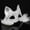A002- White, variant on White Masquerade Mask for Women Lace Masquerade Mask Sequined Cat Eye Mask for Halloween Party Bachelorette Party Mardi Gras Accessory 1 Pack