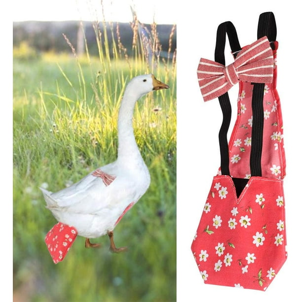 Chicken Diaper Adjustable Pet Diaper Poultry Cloth Pet Diaper Goose Chicken Duck Pigeons