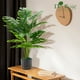 thumbnail image 5 of Planta artificial Der Rose Monstera de 70 cm de altura con maceta, 5 of 6