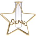thumbnail image 3 of AMERTEER Hydroponic Vase Pots Creative Heart Shaped Rectangle Triangle Five-Pointed Star Table Home Decoration Small Flowerpot, 3 of 23