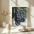 thumbnail image 4 of Campbell's Early Grape Lithograph Framed Art Modern Wall Decor, 4 of 15